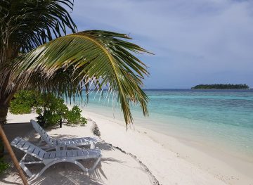 Oyster Residence - Beach