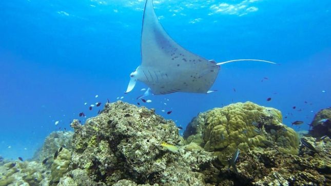 Around Maafolhey Han’dhaan