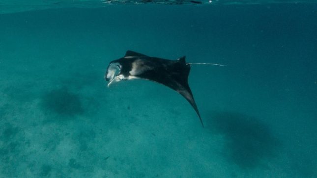 Around Maafolhey Han’dhaan