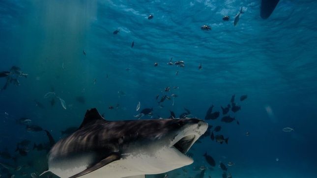 469958798_941968894541145_614507196118996980_n