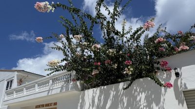 Asseyri Guest House