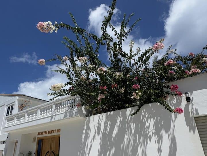 Asseyri Guest House