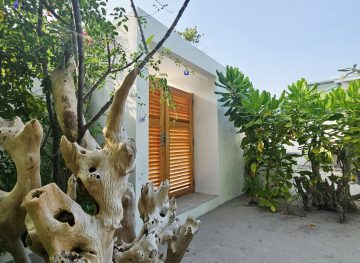 Vaadhoo View Inn
