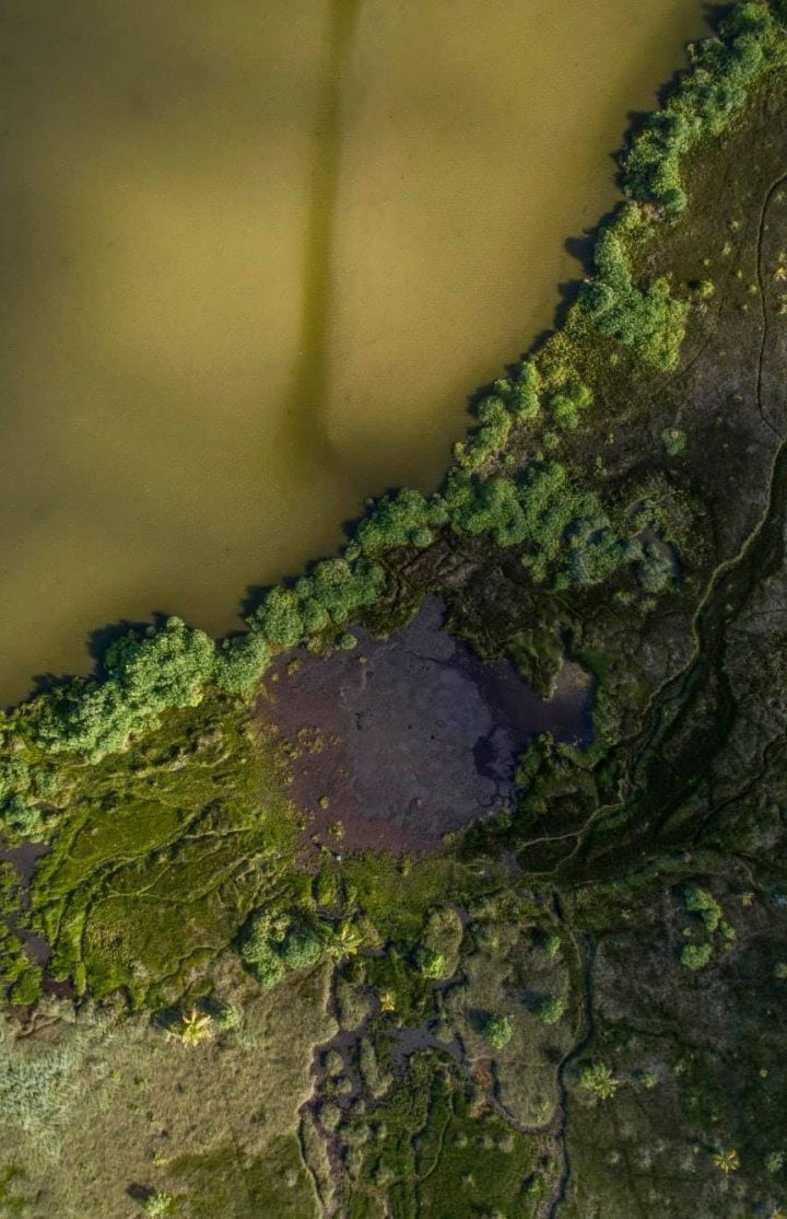 Wet land