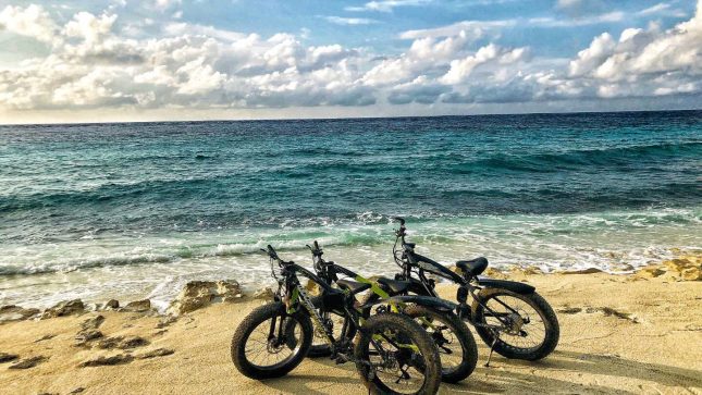 E-Bike Rental Service