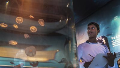 Four Seasons Maldives at Landaa Giraavaru - Become a Trainee Marine Biologist