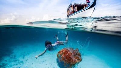 Diving & Snorkeling