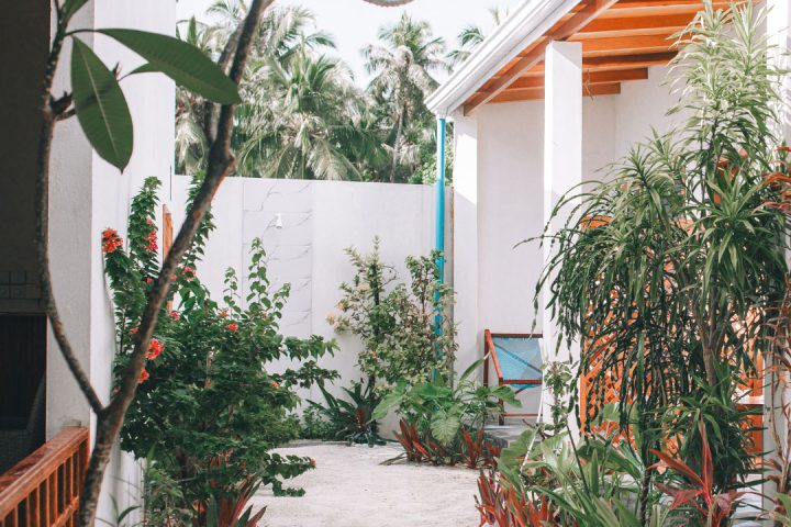 Frangipani Fulhadhoo