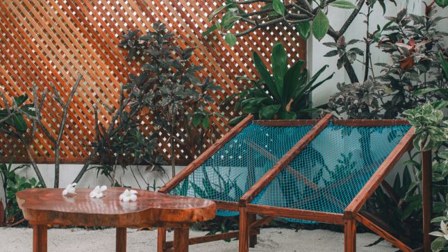 Frangipani Fulhadhoo