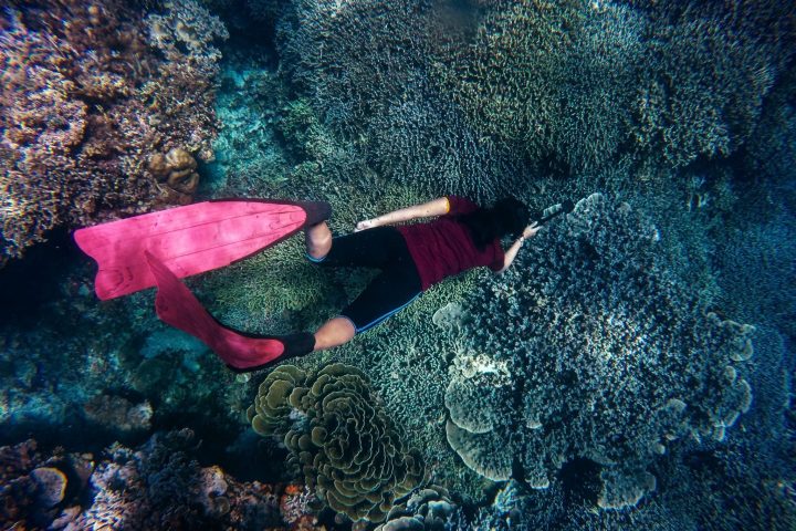 Snorkeling