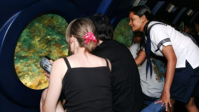 Whale Submarine Dive