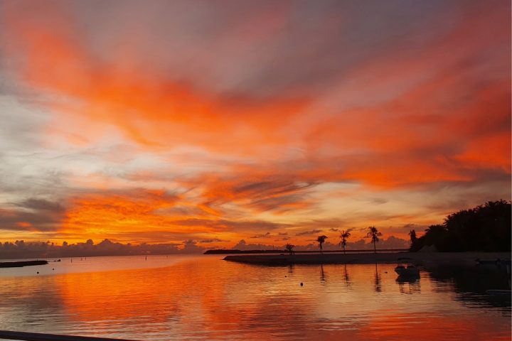 Sunrises & Sunsets on the Island