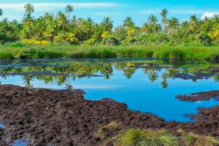 Mud Bathing