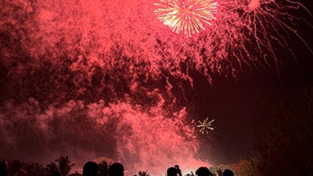 Themed Dining Nights