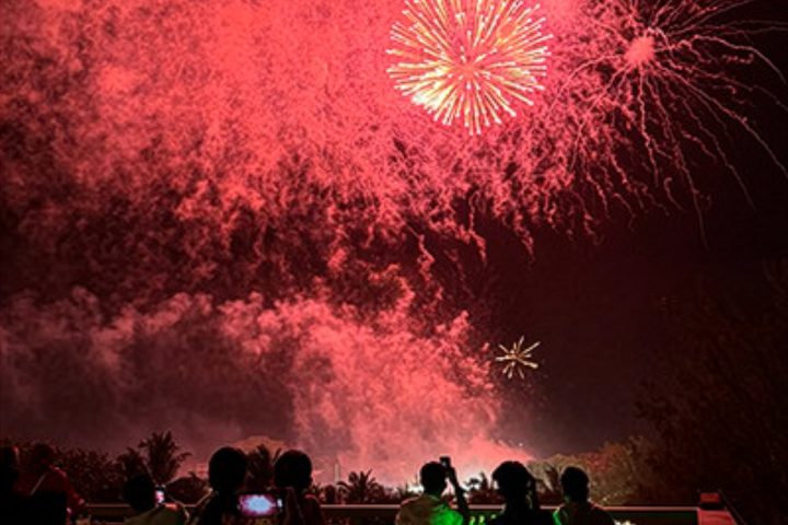 Themed Dining Nights