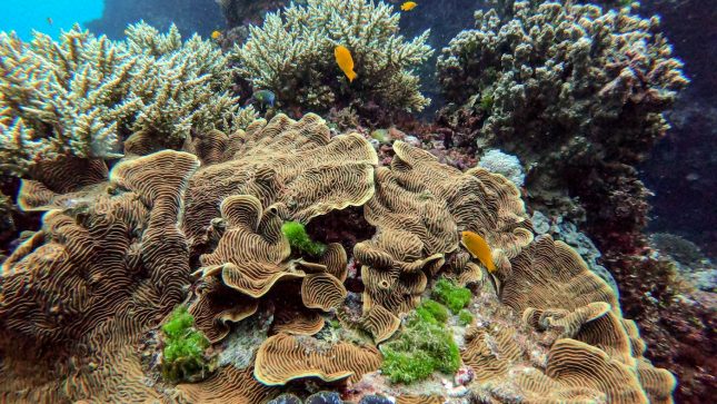 Oyster Residence -Excursions