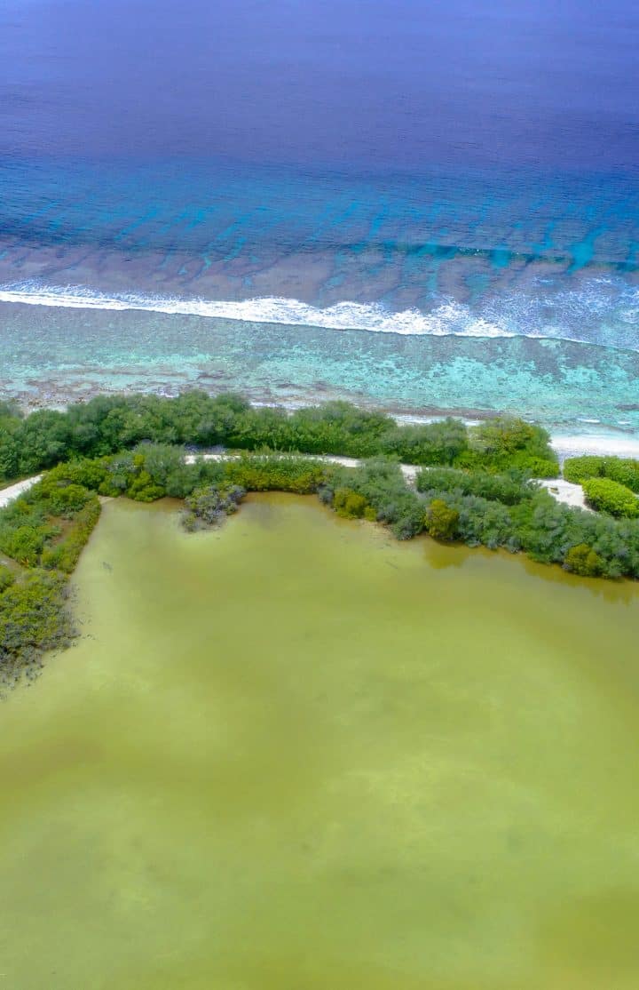 Wetland