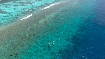 Gaafu Alifu Atoll - Snorkelling