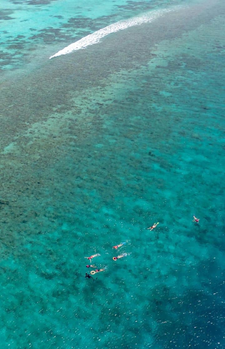Gaafu Alifu Atoll - Snorkelling
