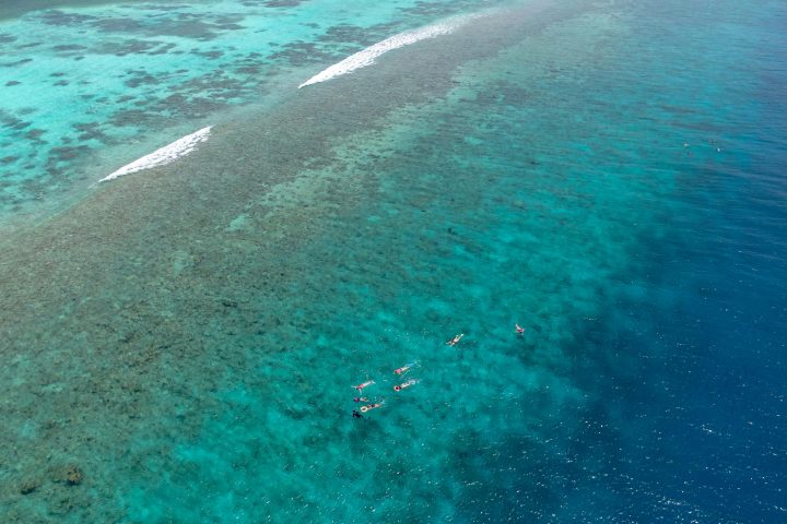 Gaafu Alifu Atoll - Snorkelling