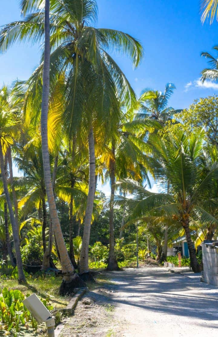local island