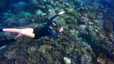 Shaviyani Atoll - Snorkelling