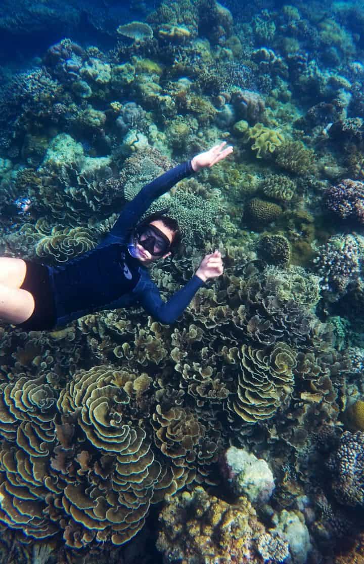 Shaviyani Atoll - Snorkelling