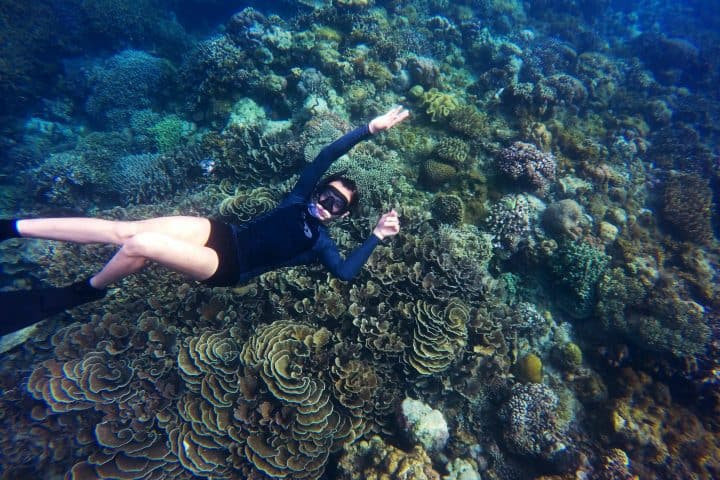 Shaviyani Atoll - Snorkelling