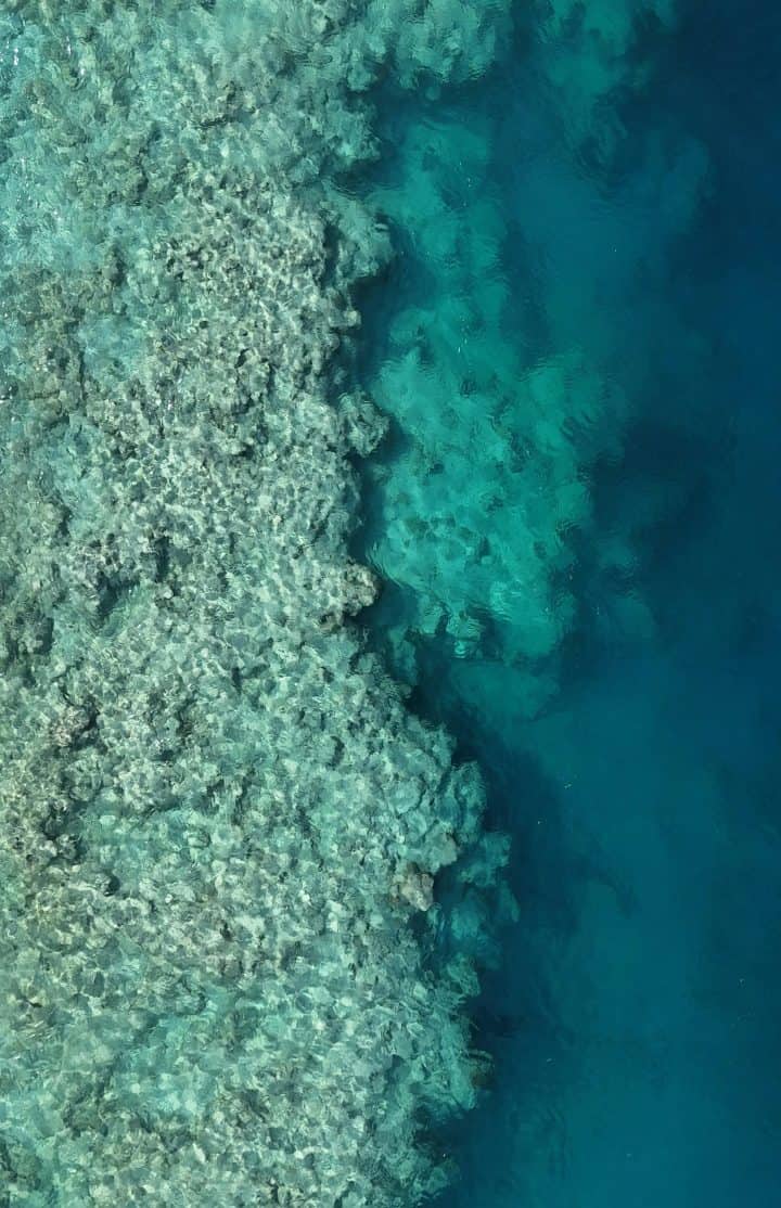 Maldives - reef