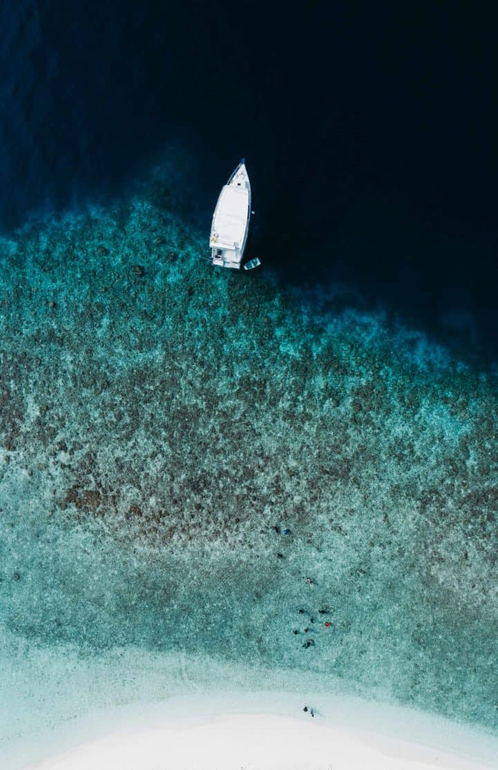 Maldives marine life