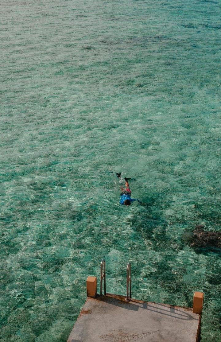 Maldives - reef - snorkel