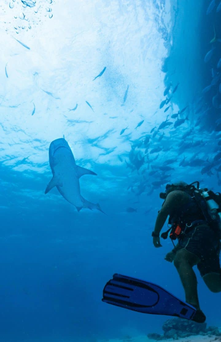 Meemu Atoll - Diving