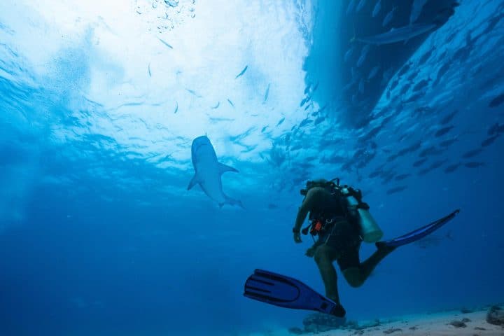 Meemu Atoll - Diving