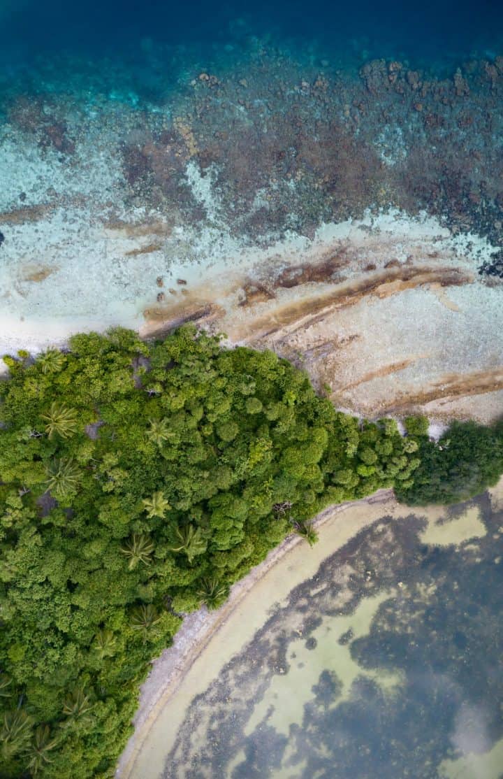 Maldives - reef