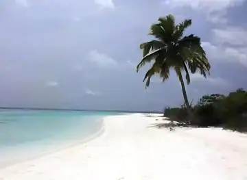 Surrounding Environment