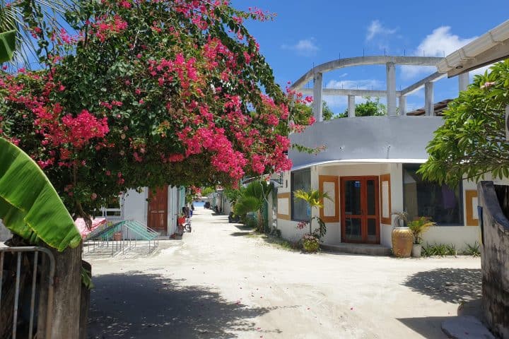 Beach Heaven Maldives - Golden Turtle Guest House
