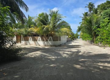 Surrounding environment