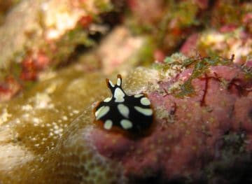 intothebluelodge-guesthouse-IMG_5624