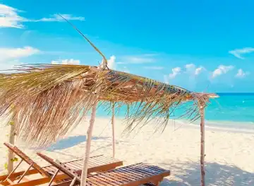 The Beach